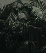 Filename=0250.jpg
Filesize=54KiB
Dimensions=1918x802
Date added=Jan 24, 2026 0250.jpg
