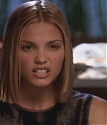 Leslie Bibb Web