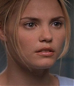 Leslie Bibb Web