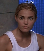 Leslie Bibb Web
